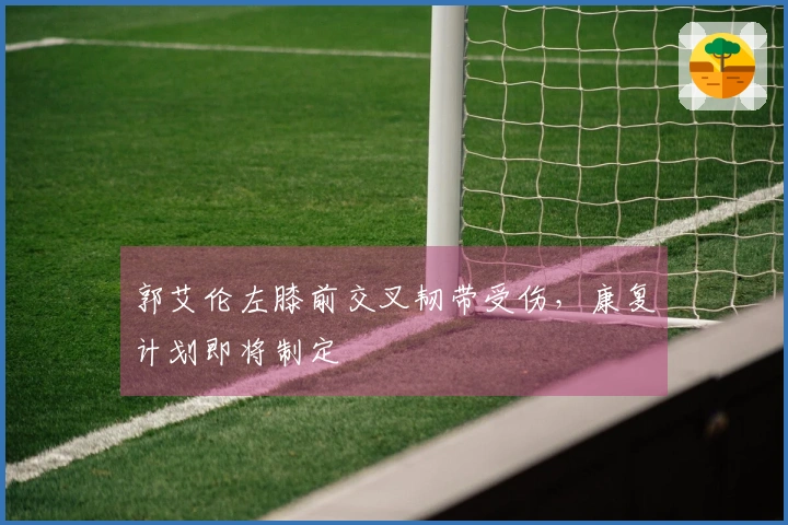 郭艾伦左膝前交叉韧带受伤，康复计划即将制定