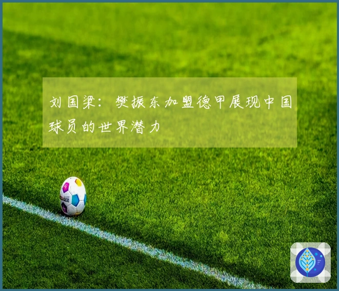 刘国梁：樊振东加盟德甲展现中国球员的世界潜力
