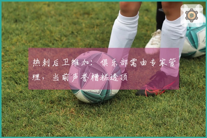 热刺后卫维加：俱乐部需由专家管理，当前声誉糟糕透顶