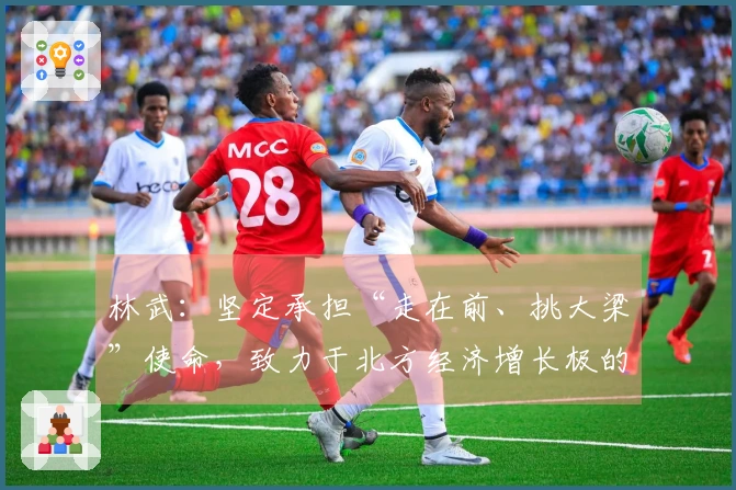 林武：坚定承担“走在前、挑大梁”使命，致力于北方经济增长极的建设